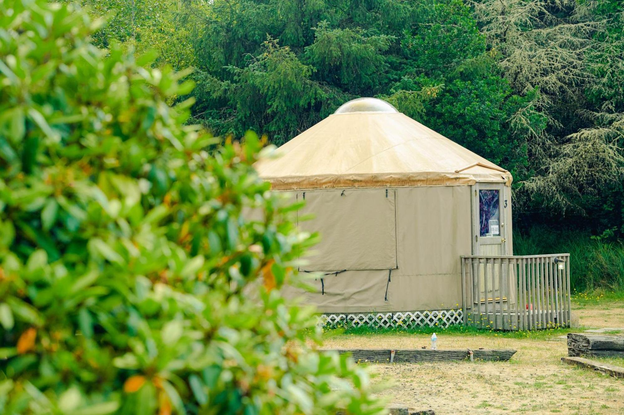 Long Beach Camping Resort Yurt 8 Oceanview Номер фото